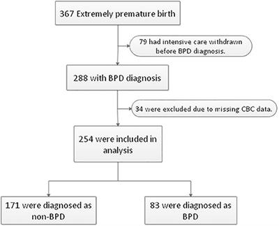 Close Association Between Platelet Biogenesis and Alveolarization of the Developing Lung